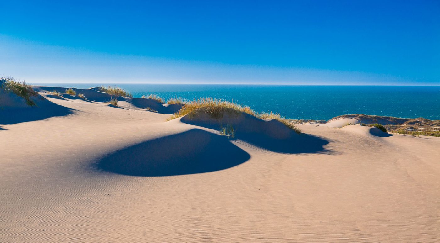 Dunes meeting the Atlantic